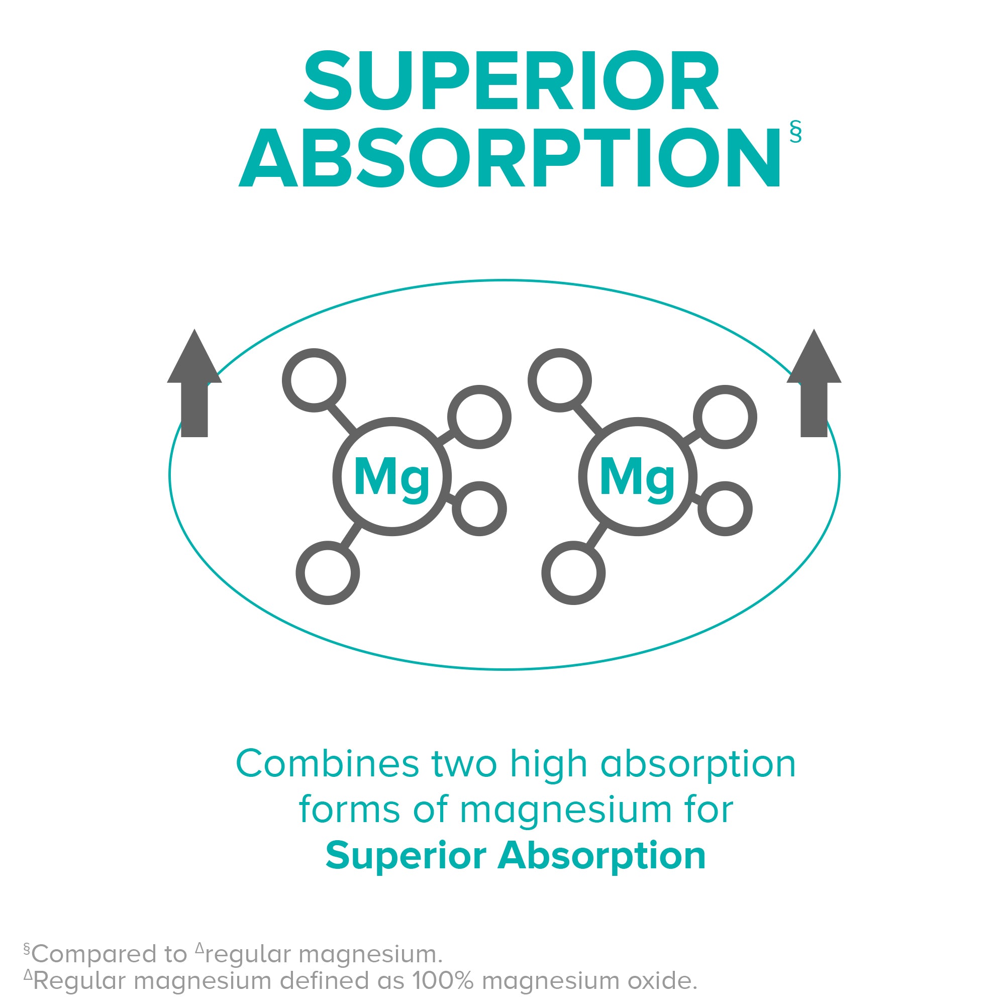 Superior Absorption: Combines two high absorption forms of magnesium for Superior Absorption