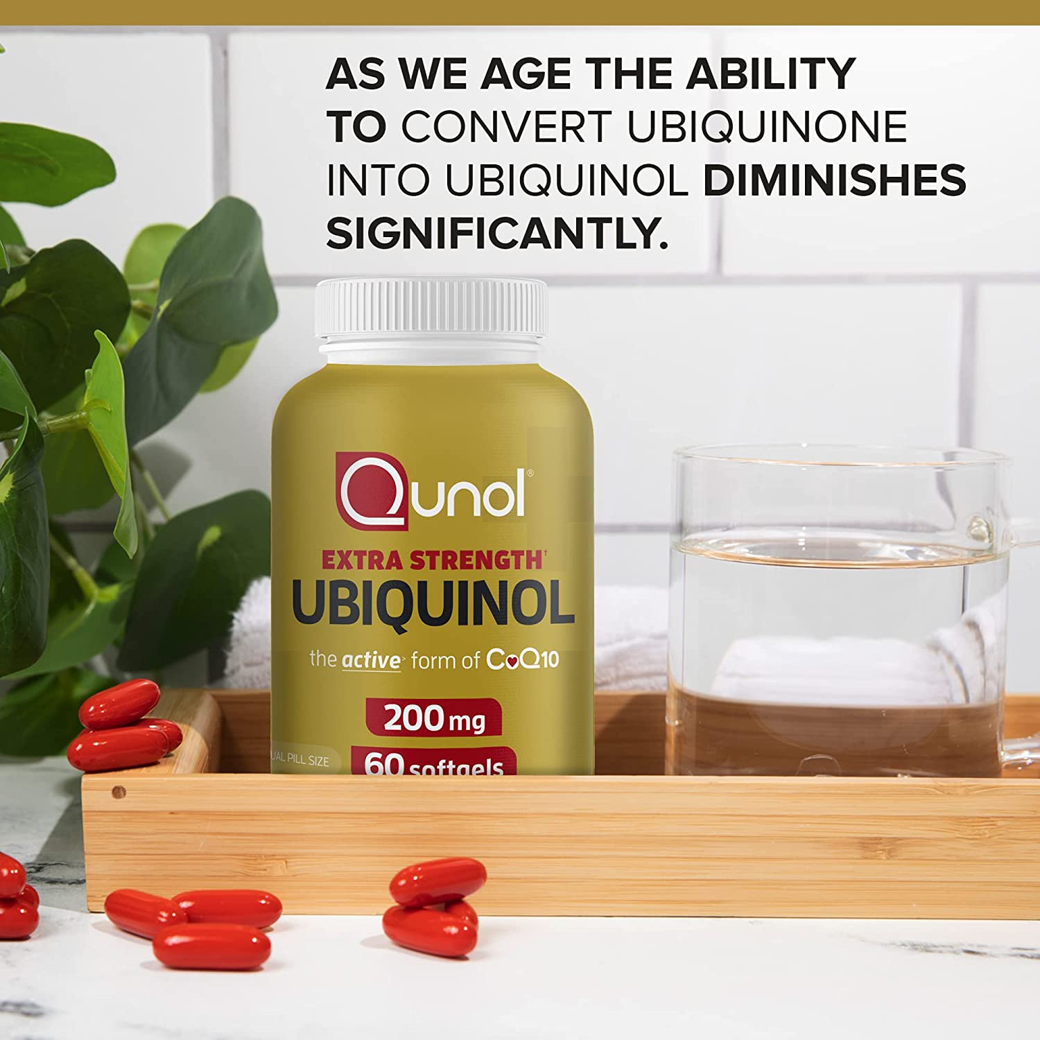 As we age the ability to convert ubiquinone into ubiquinol diminishes significantly