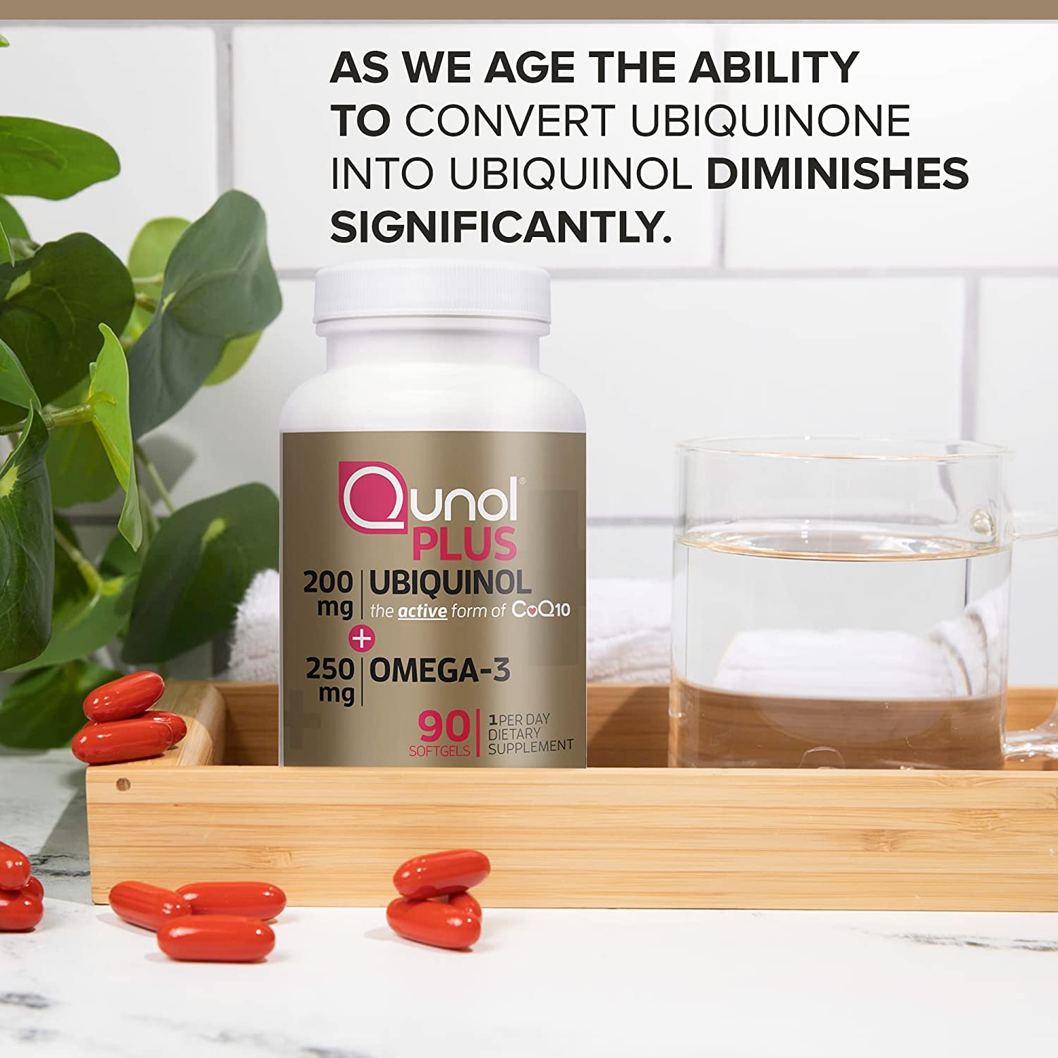 As we age the ability to convert ubiquinone into uniquinol diminishes significantly