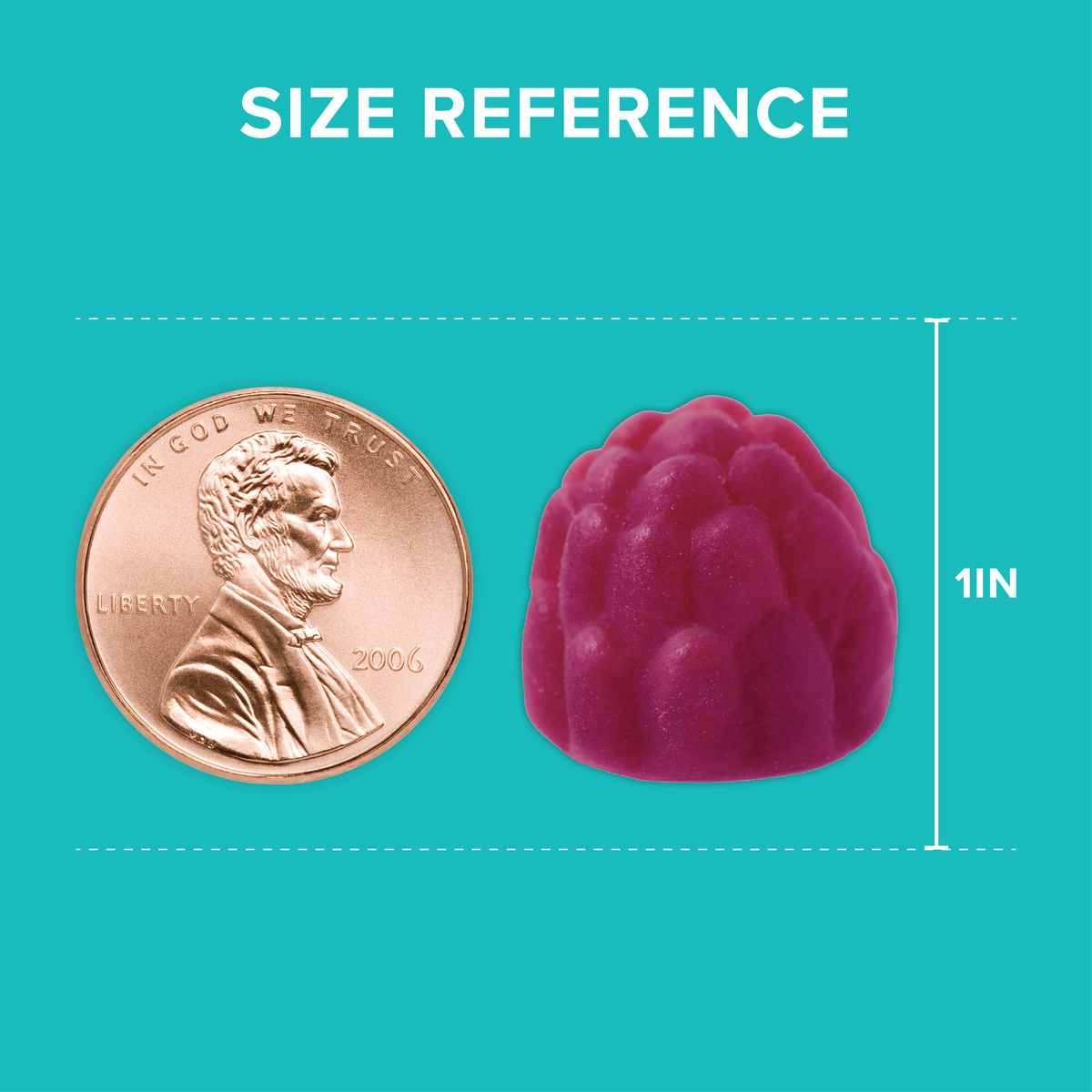 Magnesium Glycinate + Fiber Gummies, 120mg Magnesium, 6g Fiber