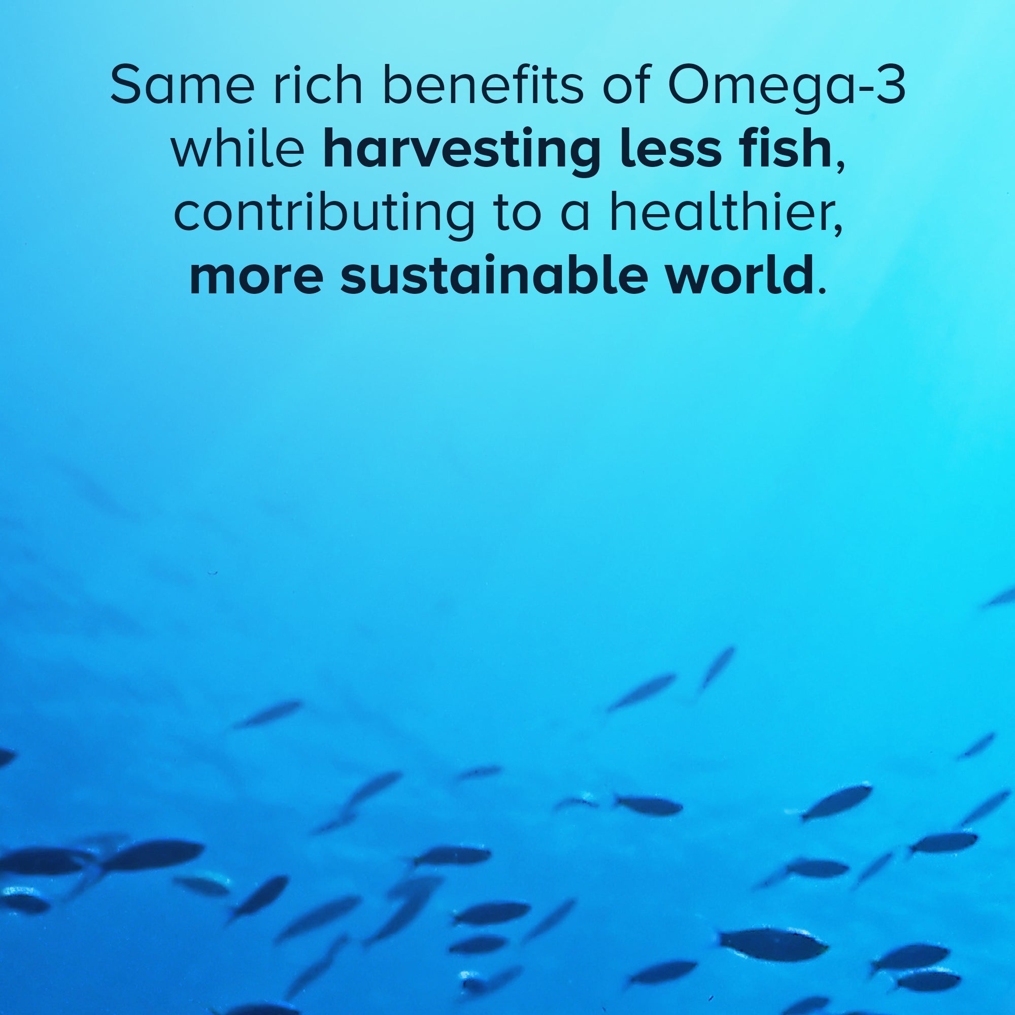 Same rich benefits of Omega-3 while harvesting less fish, contributing to a healthier, more sustainable world