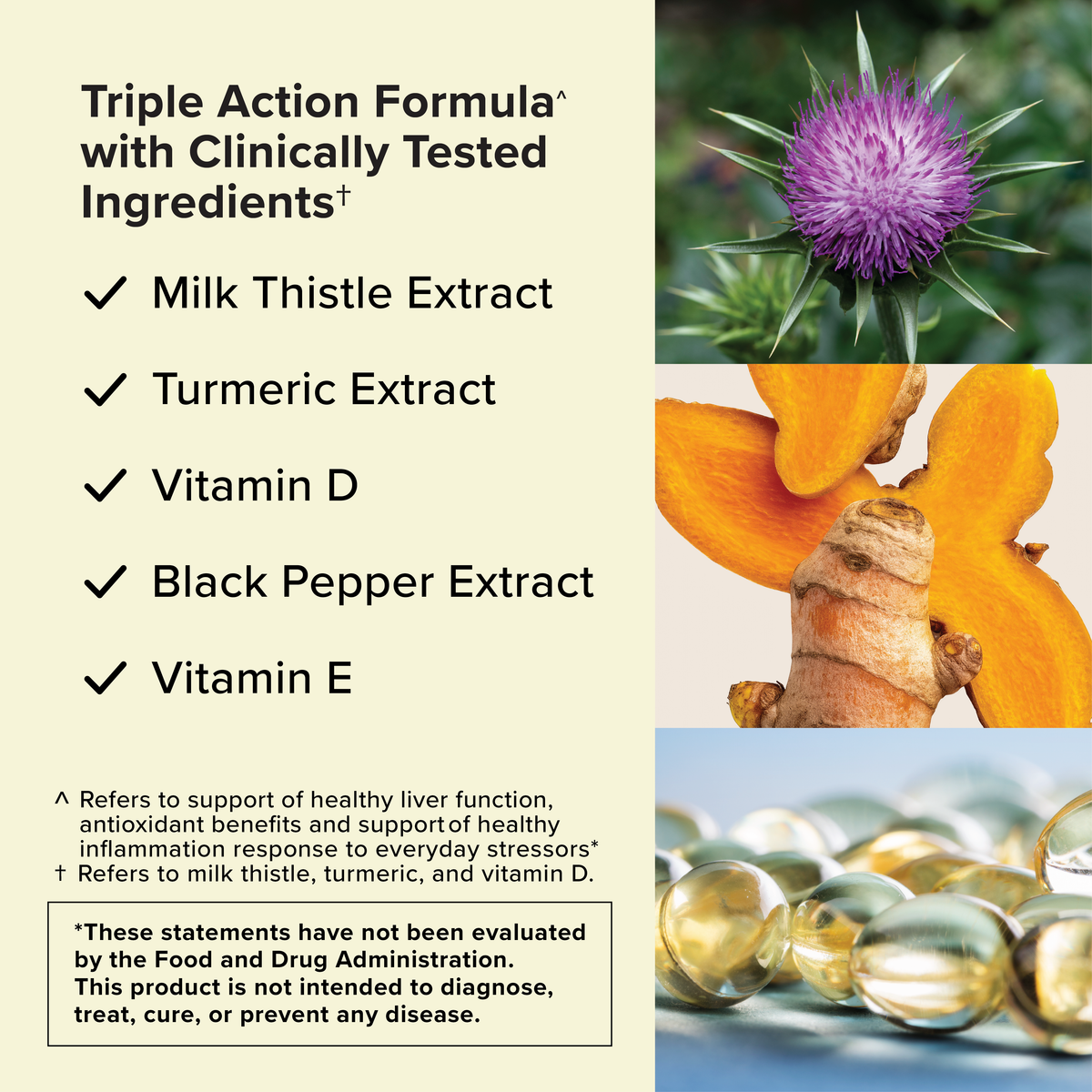 Liquid Liver Health Supplement, Triple Action Formula, Milk Thistle Turmeric and Vitamin D