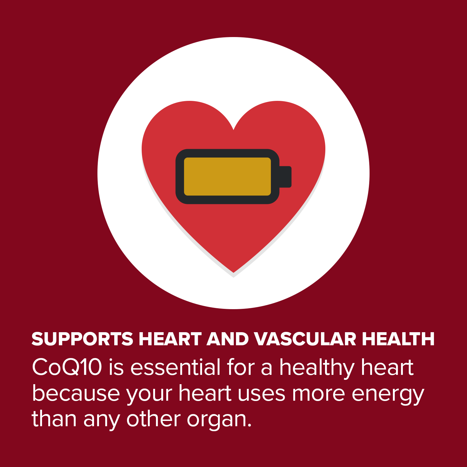 Supports heart and vascular health