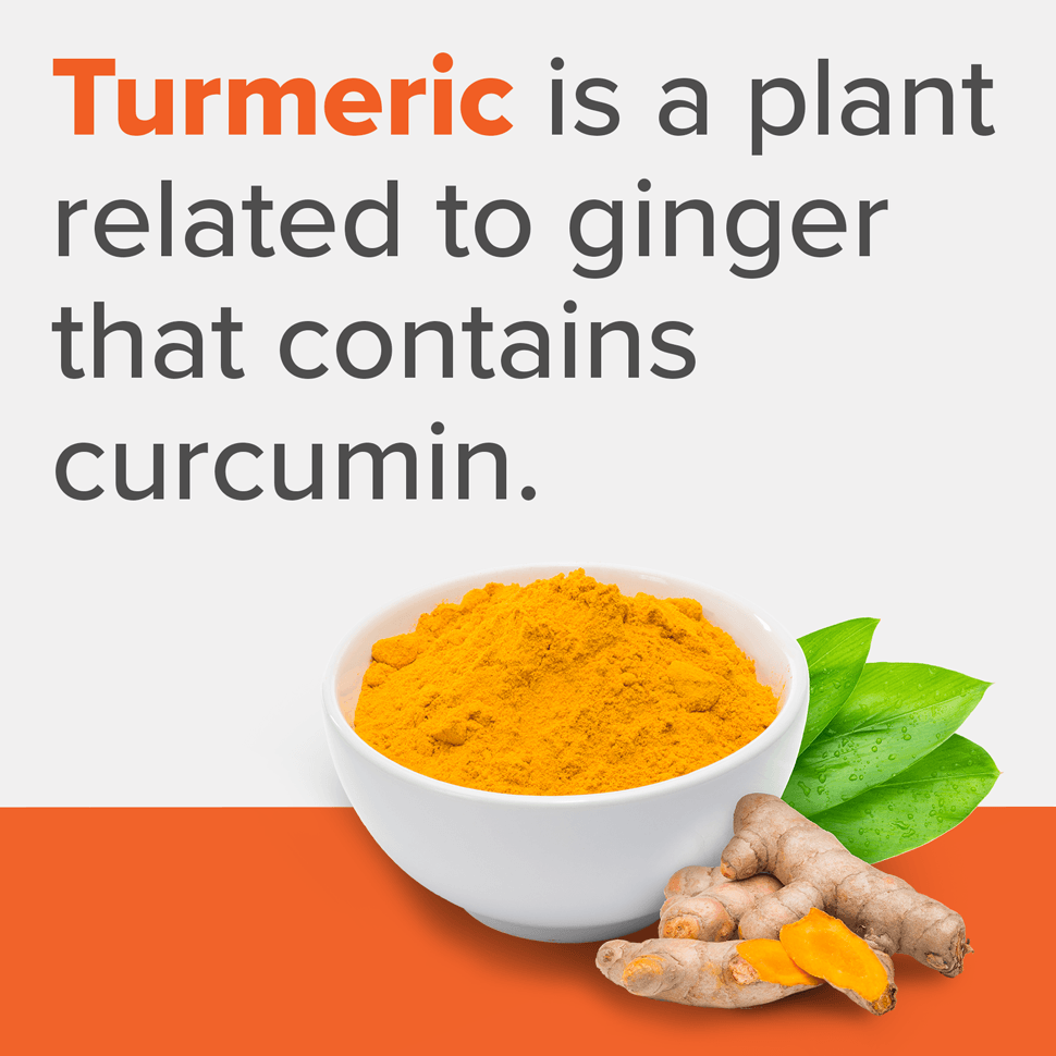 Turmeric is a plant related to ginger that contains curcumin